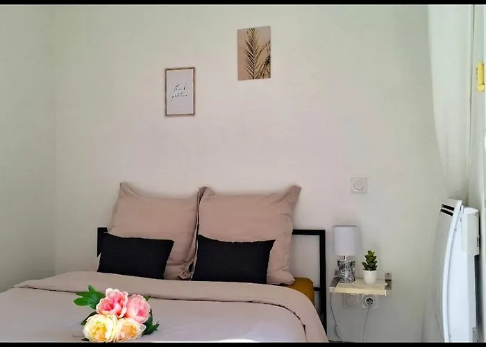 Apartment Paradis Relaxant Saint-Priest (Rhone)